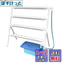 LAPOND 水耕栽培キット 室内水耕栽培 中型水耕栽セット 野菜栽培セット タイマー/自動施肥/給水 循環式ポンプ LEDライトで栽培可能 家庭菜園 ベランダ 日本語説明書付き(片面4チューブ 36 穴)
