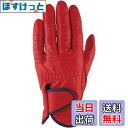 【送料無料】キャスコ(Kasco) ゴルフグローブ palette パレット メンズ SF-2014