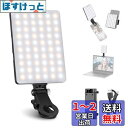 NEEWER Basic LEDビデオライト クリップ式 iPhone/ipad/pc用 小型 自撮り スマホライト 女優ライト フィルライト 調光可能 撮影照明用ライト 2000mAh充電式 ズーム通話/ビデオ会議/録画/メイクアップ/写真撮影用 NL-60AI