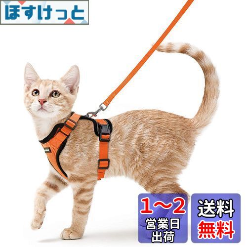 Rabbitgoo 猫 ハーネス リード セット 犬猫兼用 超小型犬 小型犬 抜けない ソフト胸あて 軽量 足を上げず装着完成 サイズ調節可 夜反射 通気メッシュ 咳込み防止 散歩 猫用ハーネス 猫 胴輪 りーど はーねす 散歩 紐 ひも (XS オレンジ)