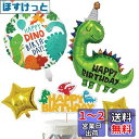 HaHaHa! 恐竜 誕生日 飾り付け バルーン セット 男の子 バースデー パーティー デコレーション HAPPY BIRTHDAY 風船 ケーキトッパー (...