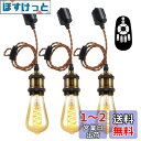 ANWIO ペンダントライト 3個セット 配線ダクトレール用 4.5W(20W形相当) E26口金 リモコン付き ダクトレールライト 北欧 シーリングライト レ...