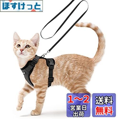 Rabbitgoo 猫 ハーネス リード セット 小型犬 犬猫兼用 抜けない はーねす ソフト胸あて 軽量 足を上げず装着完成 サイズ調節可 ネコ 散歩 紐 夜反射 通気メッシュ 咳込み防止 胴輪 ベスト りーど（黒 XXSサイズ）
