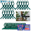 園芸クリップ 支柱クリップ 誘引クリップ 植物クリップ 植物 固定 クリップ 園芸用支柱クリップ 繰り返し使える 農業用 結束バンド 植物サポート 接木トマトナ...