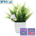 TOSSOW 人工観葉植物 造花 フェイクグリーン フェイク観葉植物 四方鉢 インテリア プレゼント 浅緑葉