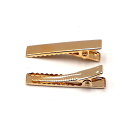 【LEISURE CLUB】ヘアクリップ 約40個入り 32mm ヘアピン 髪留め 金具 ヘアアクセサリー パーツ ゴールド DIY ホビー 業務用 大人 子供 (ゴールド3.2cm)