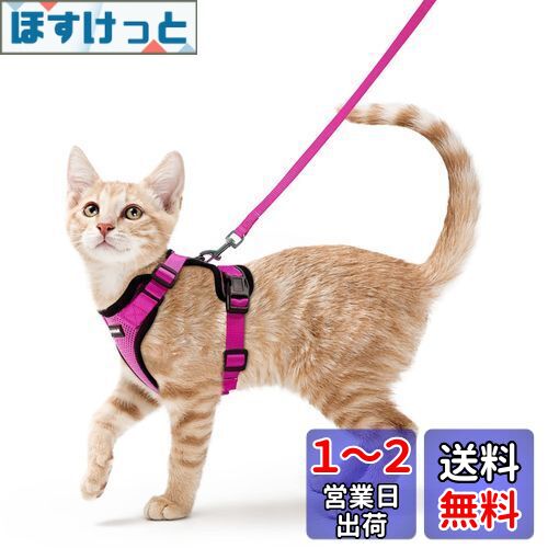 Rabbitgoo 猫 ハーネス リード セット 抜けない 猫用ハーネス ソフト軽量 犬猫兼用 超小型犬 小型犬 散歩 災害避難 はーねす りーど 足を上げず装着完成 サイズ調節可 夜反射 通気メッシュ 咳込み防止 胴輪 紐 ひも（ローズレッド XSサイズ）