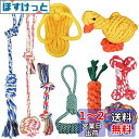 Ninonly 犬ロープおもちゃ 犬おもちゃ 犬用玩具 噛むおもちゃロープのおもちゃ コットン ストレス解消 丈夫 耐久性 清潔 歯磨き 小/中型犬に適用(9個...