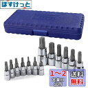 WORKPRO トルクスビットソケットセット トルクスレンチ 差込角 6.35mm 9.5mm 12.7mm 13点1セット