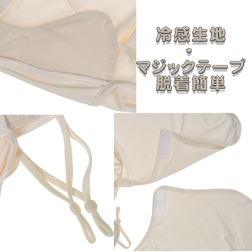 ビクター(VICTOR) JVC 1回録画用 DVD-R DL 215分 片面2層 2-8倍速 30枚 ホワイトディスク VHR21HP 送料無料