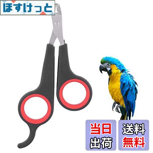 【送料無料】FTVOGUE 鳥の爪切り, バードケージエッセンシャルアクセサリー、バードグルーミングツール..