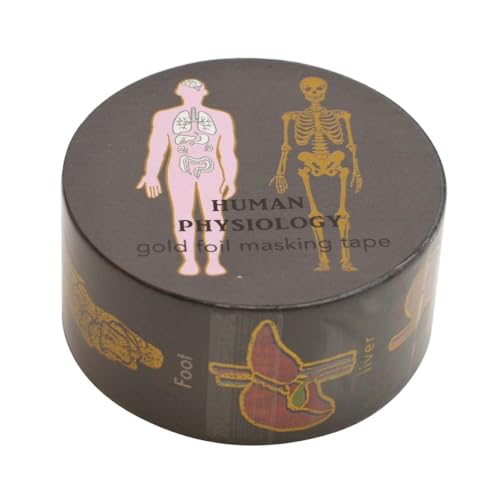 【送料無料】STUDY HOLIC 金箔マスキングテープ【人類生物学】マステ デコレーション かわいい ST-2