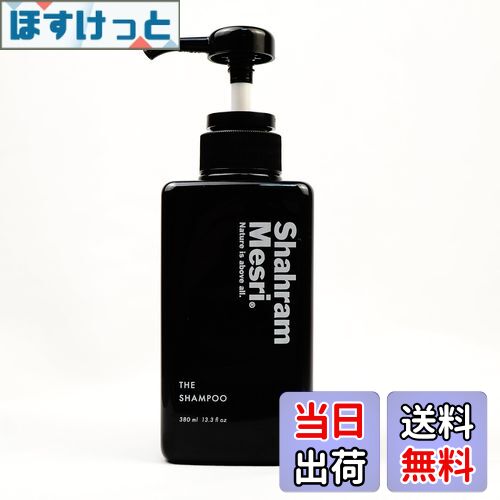 【送料無料】ザ・シャンプー 380ml サイズ：380ミリリットル (x 1)