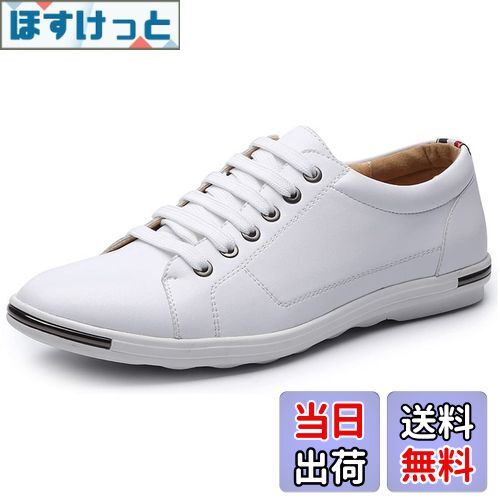 ̵[Lopis] Ķ ˡ  ե쥶  塼 å ͵  ̶ ̳ ˽ ä  ...