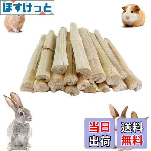 【送料無料】YIBOOOM 100g入りりんご枝 うさぎ おもちゃ かじり ハムスター おやつ チンチラ かじり木 ..