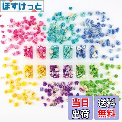 【送料無料】Princess-style かすみ草 ドライフラワー 花頭 咲いた花 ネイル レジン 封入 素材 材料 花..