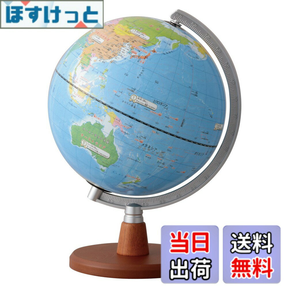 【送料無料】レイメイ藤井 地球儀 先生おすすめ小学生の地球儀 20cm OYV11