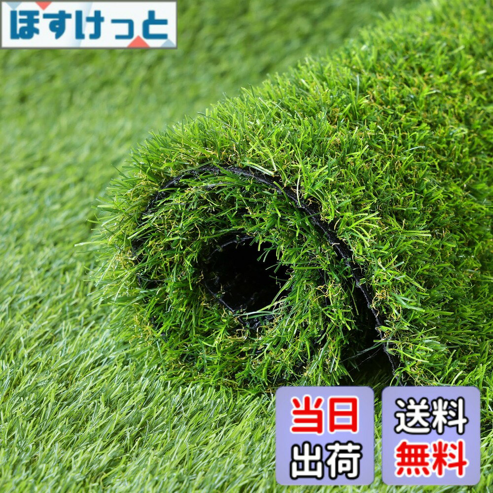 乐天商城 - 【送料無料】人工芝 ロール 1mx2m リアル感 芝丈30mm 高耐久 透水タイプ 防草シート 6本ピン付き フレッシュグリーン (1x2m)