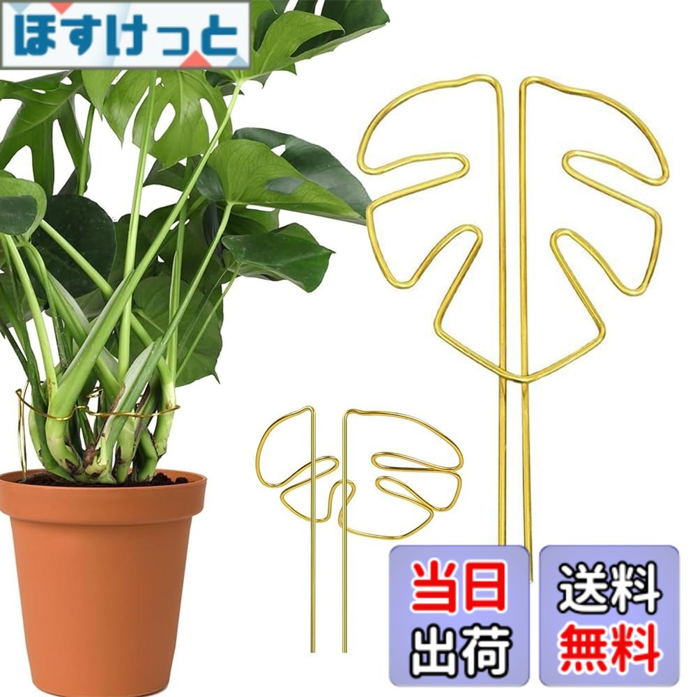 商品情報商品の説明商品の説明 テントは高品質合金材料を用いて製造され、表面銅色処理、防腐防錆、抗酸化能力が強く、摩耗しにくく 安全警告 慎重に取り扱ってください。尖った先端で傷つきます。地下の設備を損傷する可能性があります。適切に固定してください。主な仕様 【自然通風】独特な葉形構造は支持と通風機能を巧みに融合させ、植物の枝幹を強固に固定するだけでなく、良好な空気の流通を維持し、どの葉も十分に日光を浴び、植物の健全な成長を助け、光合成を加速させることができることを確保する。【良質合金】ステントは高品質合金材料を用いて製造され、表面銅色処理、防腐防錆、抗酸化能力が強く、摩耗しにくく、長期使用しても光沢と強度を保持でき、実用性と観賞性を兼ね備えている。【構造が安定している】構造設計を強化し、植物の転倒を効果的に防止し、特に藤本類、枝葉が繁茂しているか、大きくて倒れやすい植物の使用に適し、植物の安定した上向き成長を助け、清潔で秩序ある緑植空間を作る。【柔軟な調整】工具を必要とせず、植物の形態に応じて角度とリング構造を自由に調整でき、異なる成長段階とサイズを配合することができ、設置過程は簡単で省力的で、園芸初心者も簡単に手に入れることができる。【多場面応用】多種の観賞植物、花卉及び緑植物、例えば亀背竹、バラ、藤登り類などに適用する。家庭園芸でも農場栽培でも、植物の成長軌跡を効果的に管理し、養生効率と美感を高めることができる。