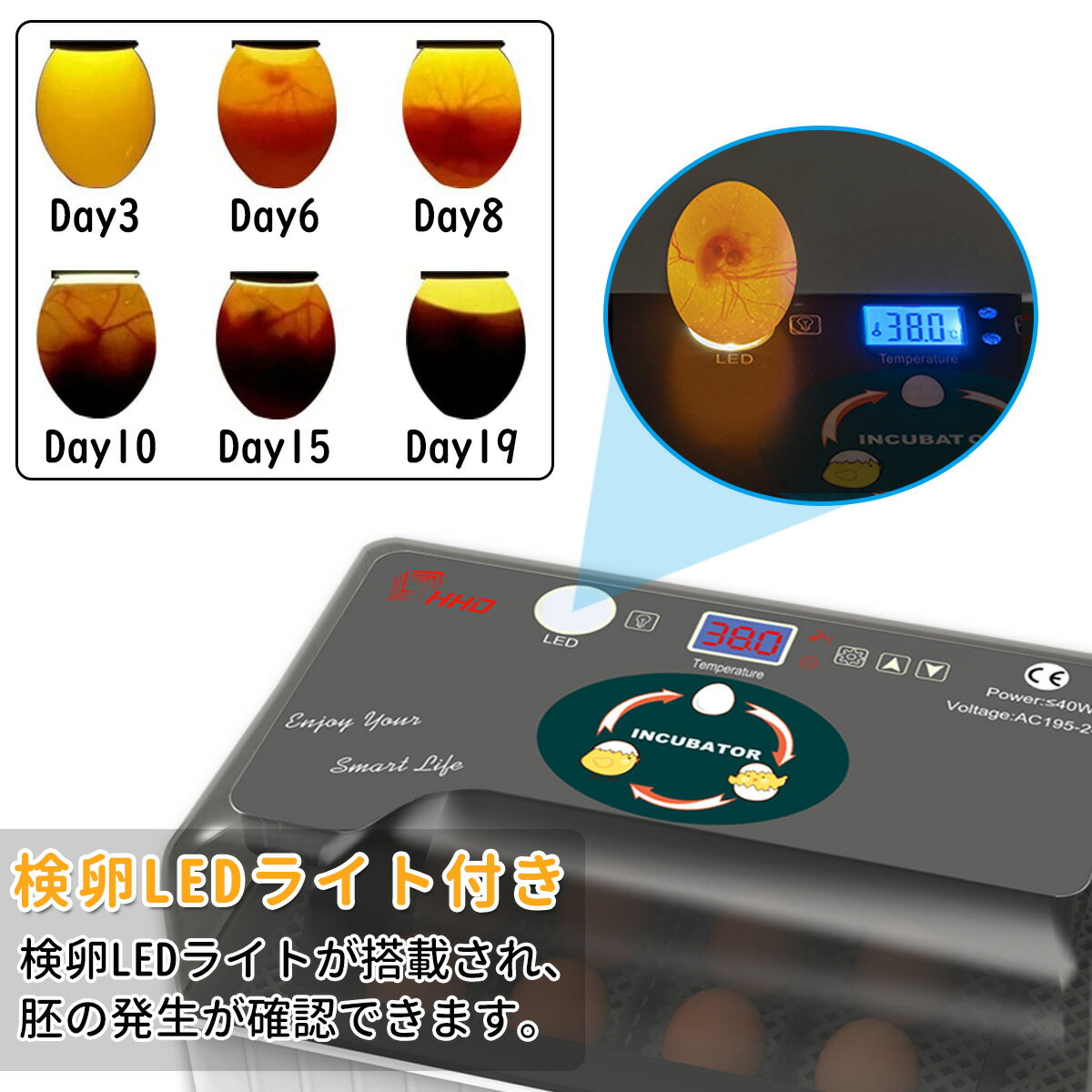 自動孵卵器 1着でも送料無料 インキュベーター 恒温器 鳥類専用ふ卵器 孵化器 自動転卵式 孵卵器 鳥類 恒温孵化器 器 鶏卵 孵卵 うずら アヒル 専用 自動孵卵器 1着でも送料無料 インキュベーター 恒温器 鳥類専用ふ卵器 孵化器 自動転卵式 孵卵器 鳥類 恒温孵化器 器 鶏卵 孵卵 うずら アヒル 専用