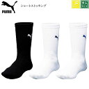 プーマ トレーニング ショートソックス ショートストッキング PUMA メンズ サッカー フットサル ラグビー バスケットボール ゴルフ サッカーソックス サッ...