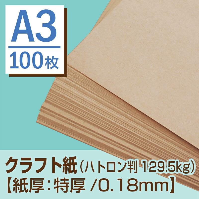 クラフト紙 A3 (ハトロン判129.5kg)...の紹介画像2