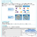 日本製レースマスク マチ付き プリーツ マスク クレンゼ マスク オーガニックコットン使用 洗える 布マスク 小さめ 個包装 女性用 M 布マスク エコマスク mask eco 洗えるマスク クラボウ 秋 冬 春 冬用マスク 普通サイズ 美人マスク きれいめ