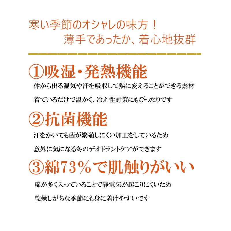 【セール M〜5L】発熱・抗菌 タートルネック カットソー 無地 大きいサイズ レディース 秋 冬 長袖 【MB エムビーミントブリーズ】 婦人服 ファッション 30代 40代 50代 60代 ミセス 【返品交換不可】 hot-air-10022966 Hot-air 大きいサイズ レディース サンプル画像3