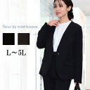 L/LL/3L/4L/5L ゆったり ぽっちゃり 体型カバー ナチュラル服 大人 女性 きれいめ カジュアル オフィス 通勤 仕事 結婚式 演奏会 発表会 顔合わせ 別売り スーツ セレモニー【