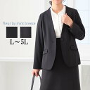 L/LL/3L/4L/5L ゆったり ぽっちゃり 体型カバー 大人 女性 きれいめ カジュアル オフィス セットアップ可能 卒業式 入学式 ママ 母 コーディネート フォーマル セレモニー