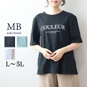 L/LL/3L/4L/5L ゆったり ぽっちゃり 体型カバー ナチュラル服 大人 女性 きれいめ カジュアル オフィス お出掛け 普段着 可愛い 母の日 プレゼント ギフト