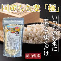 国産もち麦100% 国産もち麦 極 大麦ごはん 食物繊維 ダイエット 岡山県産 お米に混ぜて炊くだけ プチプチ食感 小麦グルテンフリー カズレーザーと学ぶ テレビ TV ごはん スーパーフード 麦ごはん 自然食 腸内環境 腸活 美味しい 栄養 美容 健康 内容量300g