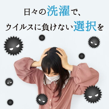 抗菌　除菌　洗える　粉末　粉　無添加　洗濯洗剤　安い　界面活性剤0　洗濯槽もキレイ　無添加洗剤　無添加石鹸　洗浄力　消毒　洗濯槽　洗濯機　ウイルス対策に　送料無料　貝殻