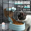 自動給餌器 ペット ケージ取付 自動餌やり器 自動給餌機 ペットボウル ペットフィーダー 自動えさやり器 ご飯 餌入れ 給餌器 自動餌やり 自動給餌装置 給餌ボウル フードボウル 犬 猫 皿 食器 猫用品 犬用品(4)