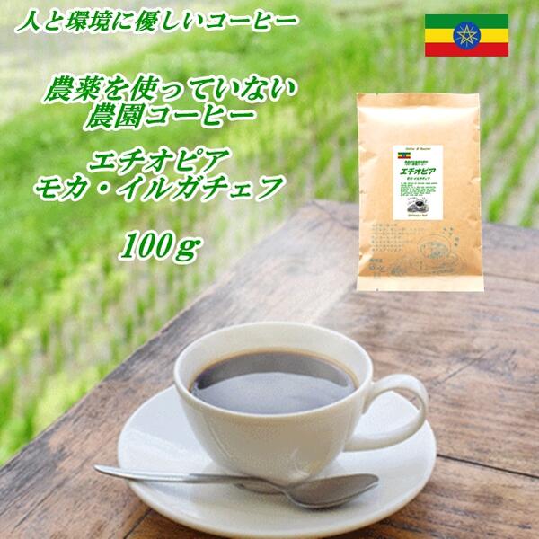 ◆農薬を使っていない農園コーヒー エチオピア ...の紹介画像2