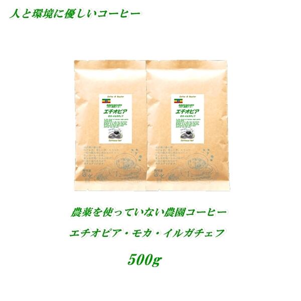 ◆農薬を使っていない農園コーヒー　エチオピア モカ・イルガチェフ 　500g 【メール便送料無料】　安心・安全 人と環境に優しいコーヒー　焼きたて 煎りたてコーヒー