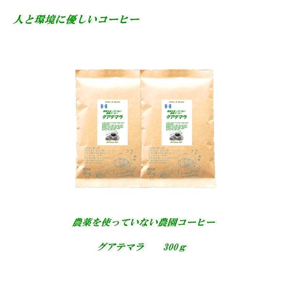 楽天珈琲屋ほっと◆農薬を使っていない農園コーヒー・グアテマラ　300g（約30杯分）【メール便送料無料】【HLS_DU】　安心・安全・焼きたて煎りたて美味しいコーヒー