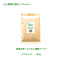 ◆農薬を使っていない農園コーヒー・グアテマラ 　100g　♪人と環境に優しいコーヒー♪ 安心・安全・焼きたて煎りたて美味しいコーヒー