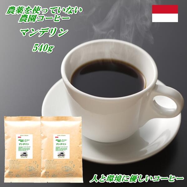 ◆農薬を使っていない農園コーヒー・マンデリン ...の紹介画像2