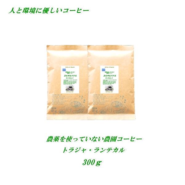 ◆農薬を使っていない農園コーヒー　トラジャ・ランテカルア　300g　農薬未使用　♪人と環境に優しいコーヒー♪ 安心・安全・焼きたて煎りたて美味しいコーヒー