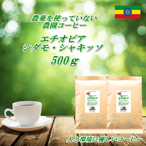 ◆農薬を使っていない農園コーヒー エチオピア ...の紹介画像2