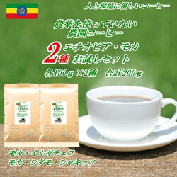 【初回購入限定】エチオピア・モカコーヒー無農薬・有機栽培原料100%2つの農園コーヒーお試し味比べセットイルガチェフ、シダモ・シャキッソ各100g合計200g無農薬コーヒーコーヒー豆メール便送料無料【HLS_DU】焼きたて煎りたてコーヒー