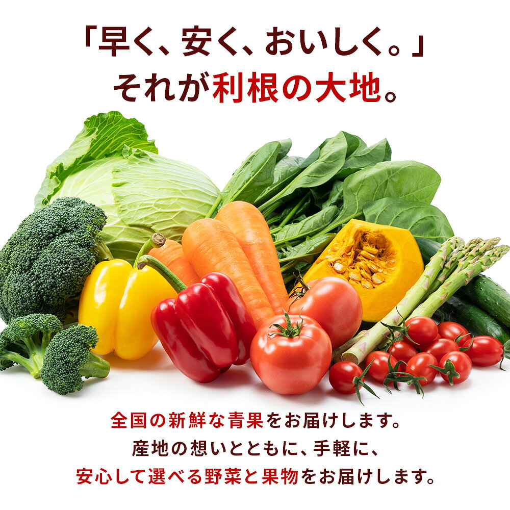国産 ミニトマト 6kg 訳あり トマト 送料無料 野菜 Tomato 家庭用 大容量 不揃い 規格外 新鮮 甘い ジューシー 食べ物 やさい サラダ ジュース用 お弁当 彩り 野菜セット まとめ買い 箱買い 業務用 ご家庭用 食品 【利根の大地】 hotakaya-10000089 武尊屋 サンプル画像3