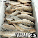 北海道産 業務用 こまい 5kg Lサイズ 氷下魚 コマイ 生干し 一夜干し 干物 おつまみ 魚 食べ方 焼き魚 レシピ 焼くだけ 美味しい BBQ バーベキュ...