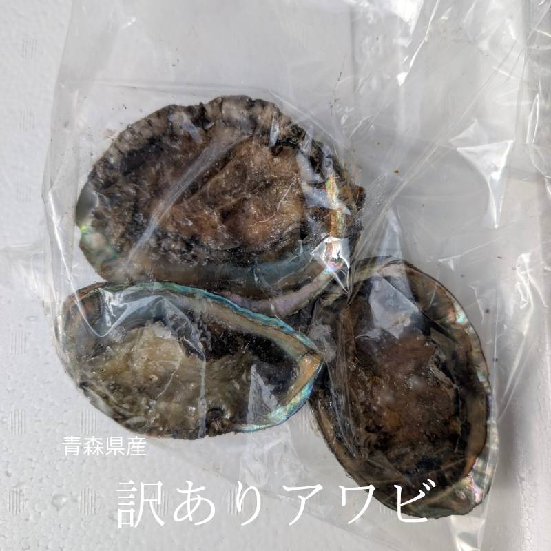 ������ �Ŀ����� ���ơ����� ���դ� �����