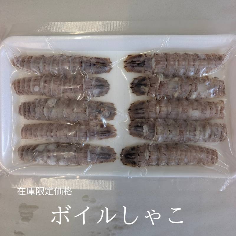 ボイル しゃこ 10尾入 卵無し