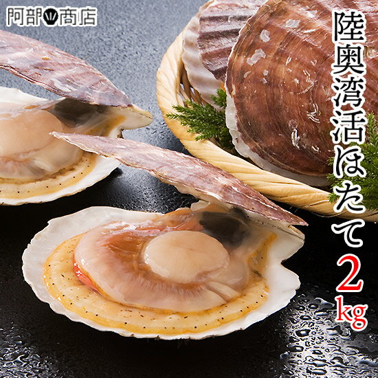 青森県 むつ湾産 活ホタテ 2kg 前後（10〜15枚前後）刺身 用 新鮮 ほたて 帆立 貝 青森 産地直送 送料無料 BBQ バーベキュー 食材 人気 お中元 お歳暮 ギフト 贈り物 おすすめ 美味しい 新鮮 ※入荷が不安定で配達日『指定不可』商品となります