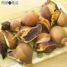 ボイル済 青森県 陸奥湾産 殻つき つぶ貝 モスソ貝 300g前後 お節料理 手作り 螺 御節 おせち 御節料理 材料 販売 通販 正月 料理 つんぶ バラツブ つぶ おでん