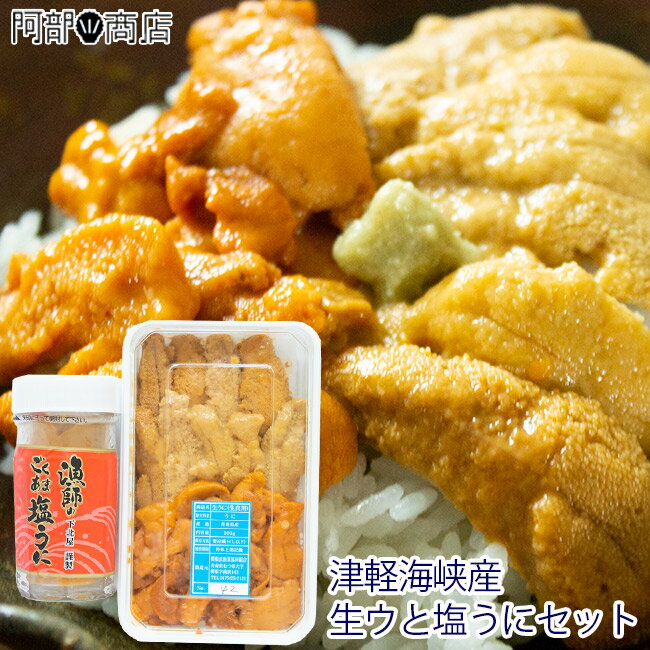 津軽海峡産 生ウニ 100g と 塩うに 60g のセット　お中元 うに 雲丹 販売 産地直送 青森県産のサムネイル