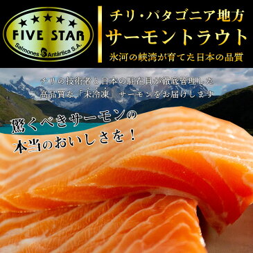 【未冷凍】お刺身用 サーモン 1kg前後(トラウトサーモン)【サーモン 刺身 通販】【生 サーモン 半身 通販】【サーモン 刺身 1kg】【サーモン 刺身 半身】
